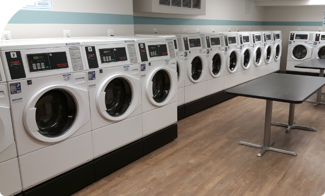 Laundromat full of washing machines lined up against a wall